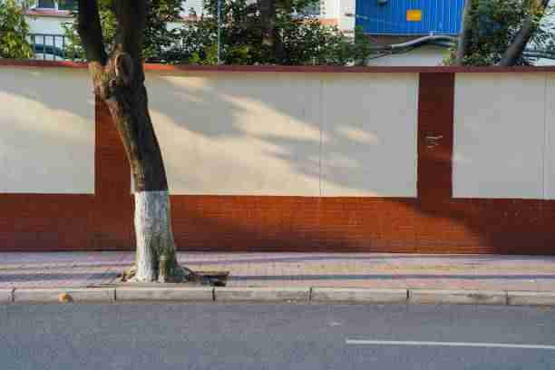 蘑菇影视在线观看年度大片全收录|独家内容揭秘带你看遍热门影视 第1张 蘑菇影视在线观看年度大片全收录|独家内容揭秘带你看遍热门影视 第1张