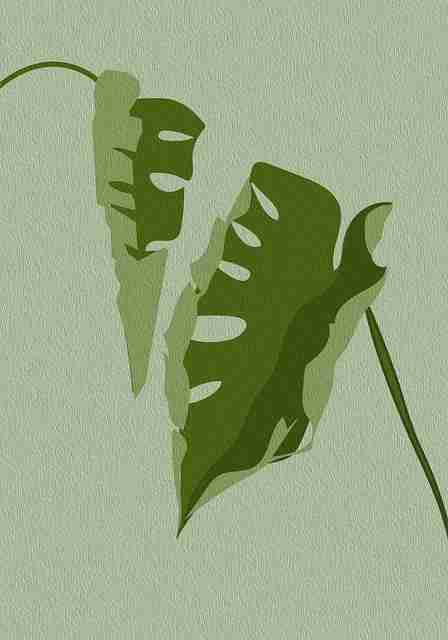 探花热度飙升系列|剧情设计解构登上人气榜首