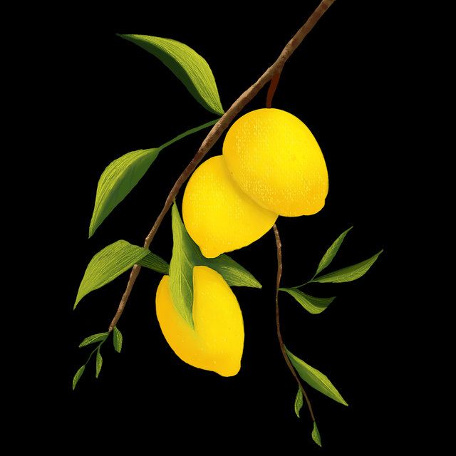 onlyfnas引导行为数据汇总|私密内容发布模式转化表现出色