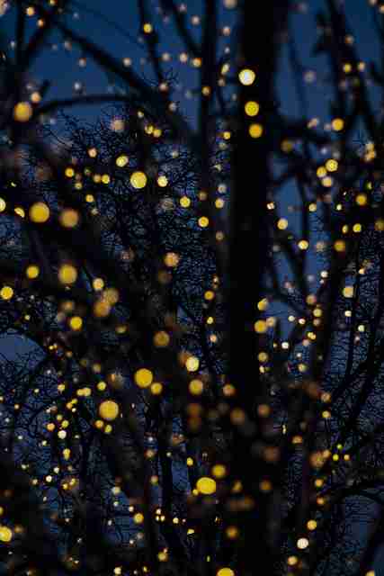 暗网禁地入口新站点结构解读｜隐藏社区结构图解技术更新前所未有