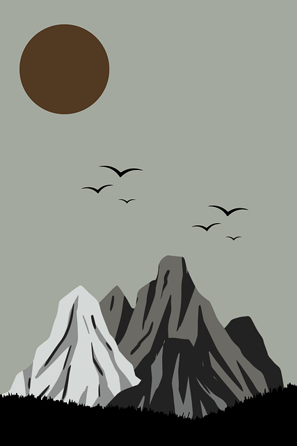 onlyfnas官网内容多样性分析｜隐私内容防护策略投稿风格全面盘点