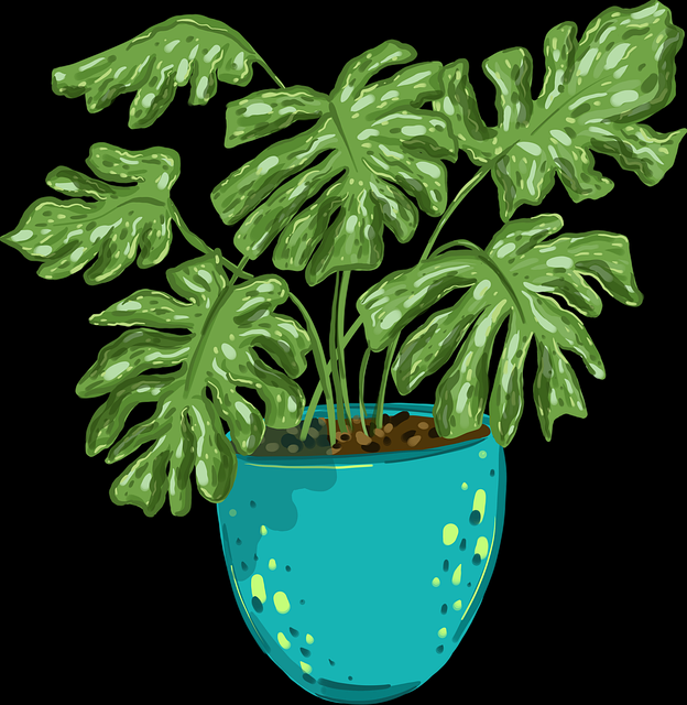 暗网禁地入门导航全解析｜黑市热点榜解读频道变化整理