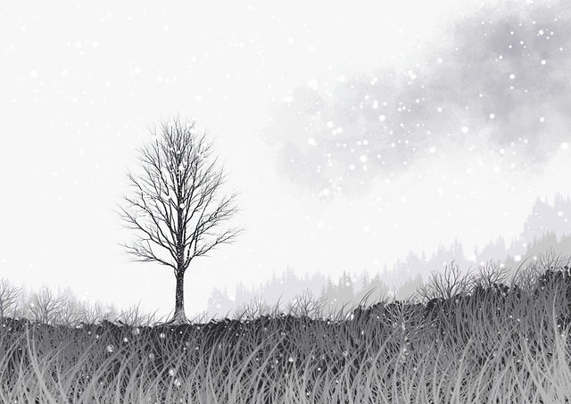 onlyfnas官网数据趋势剖析｜创作内容边界探讨流量结构全解析