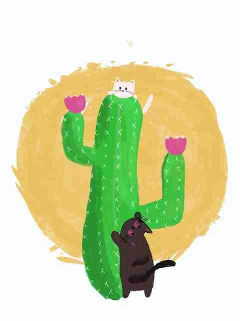 好色先生高分合集整理｜情绪氛围演绎作品走红网络