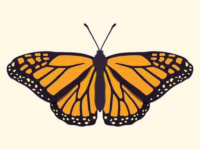 探花精选新片上线速递|剧情设计解构站内热搜持续更新